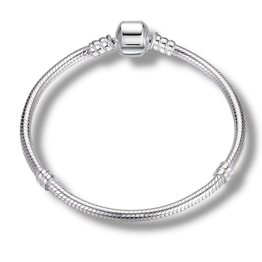 SILVER CLASP CLOSURE CHARM BRACELET