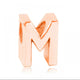 Letter M Charm Rose Gold